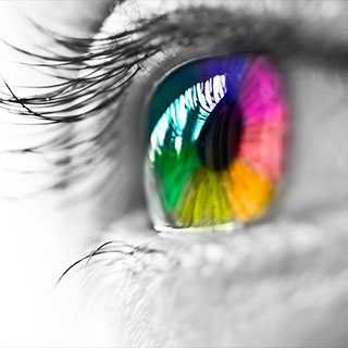 Same Day Catalog Printing